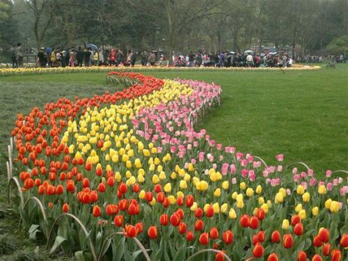 欢迎莅临优惠大厅