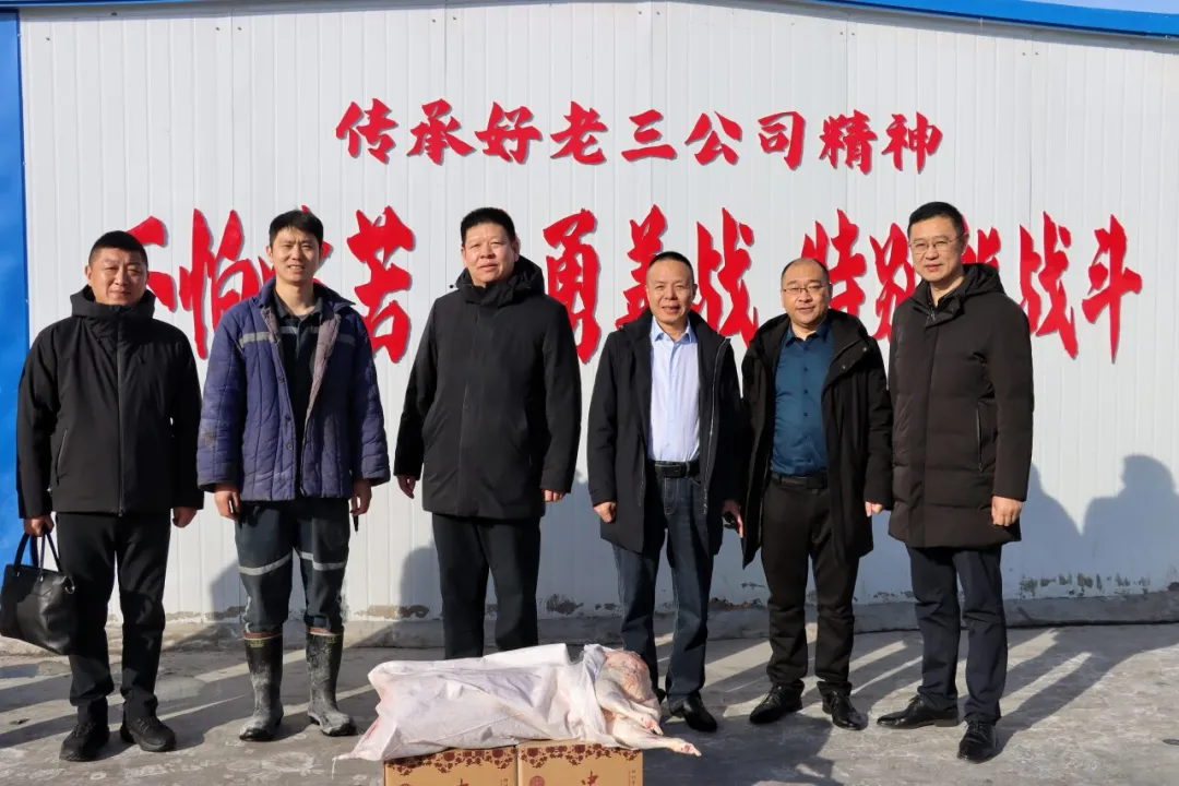 1772162758119327.jpg 1772162758119327.jpg