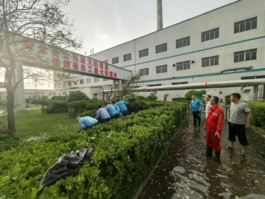 欢迎莅临优惠大厅