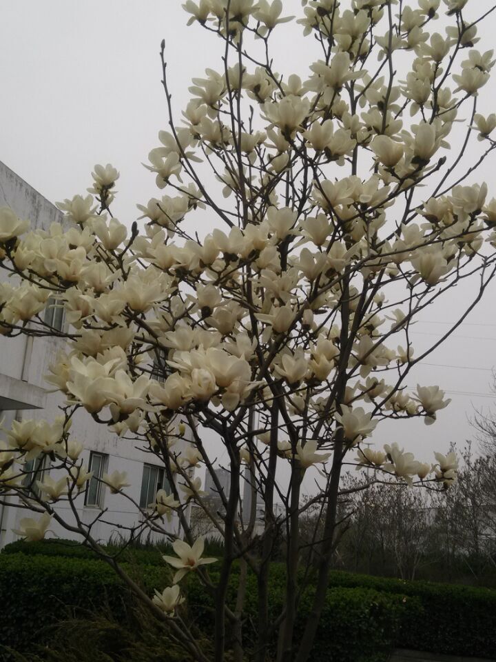 欢迎莅临优惠大厅