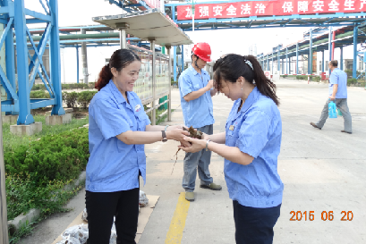 欢迎莅临优惠大厅