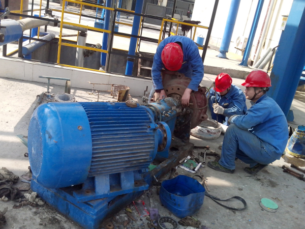 欢迎莅临优惠大厅