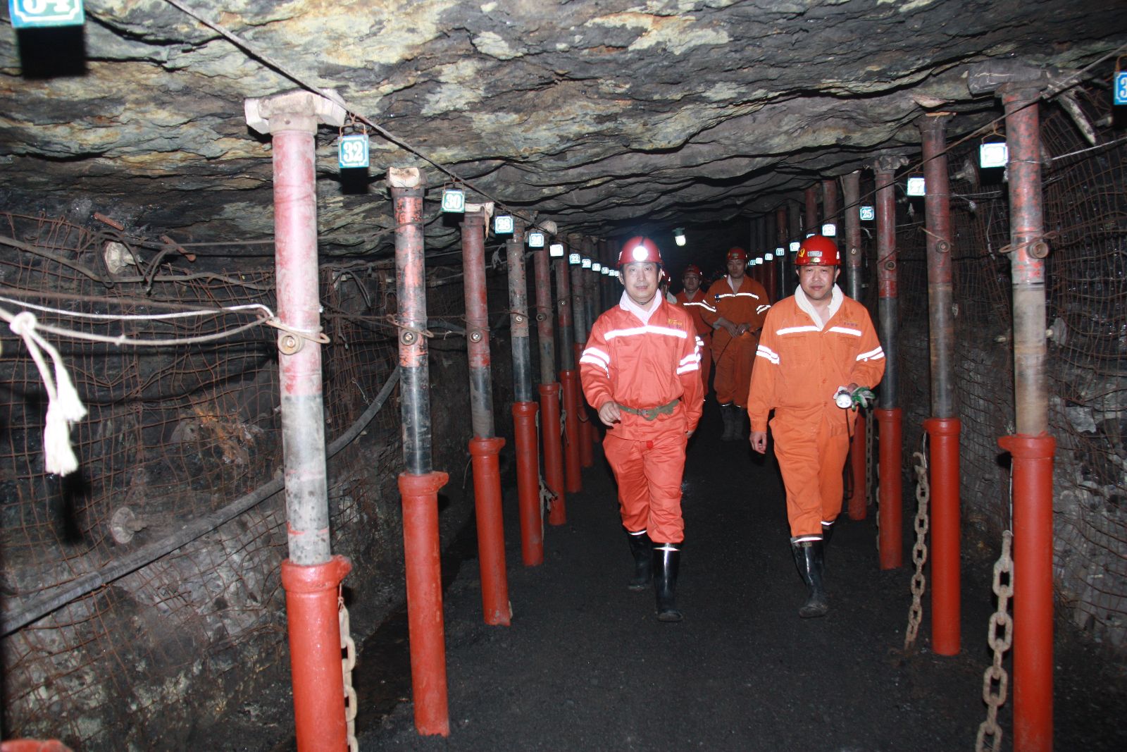 欢迎莅临优惠大厅